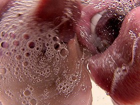 Wバーチャルベロチュパ LES KISS サンプル動画サムネイル